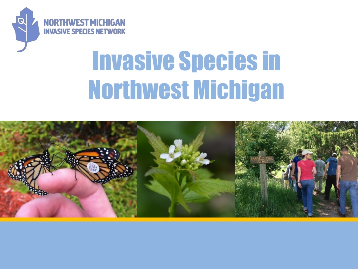 invasive species in northwest michigan