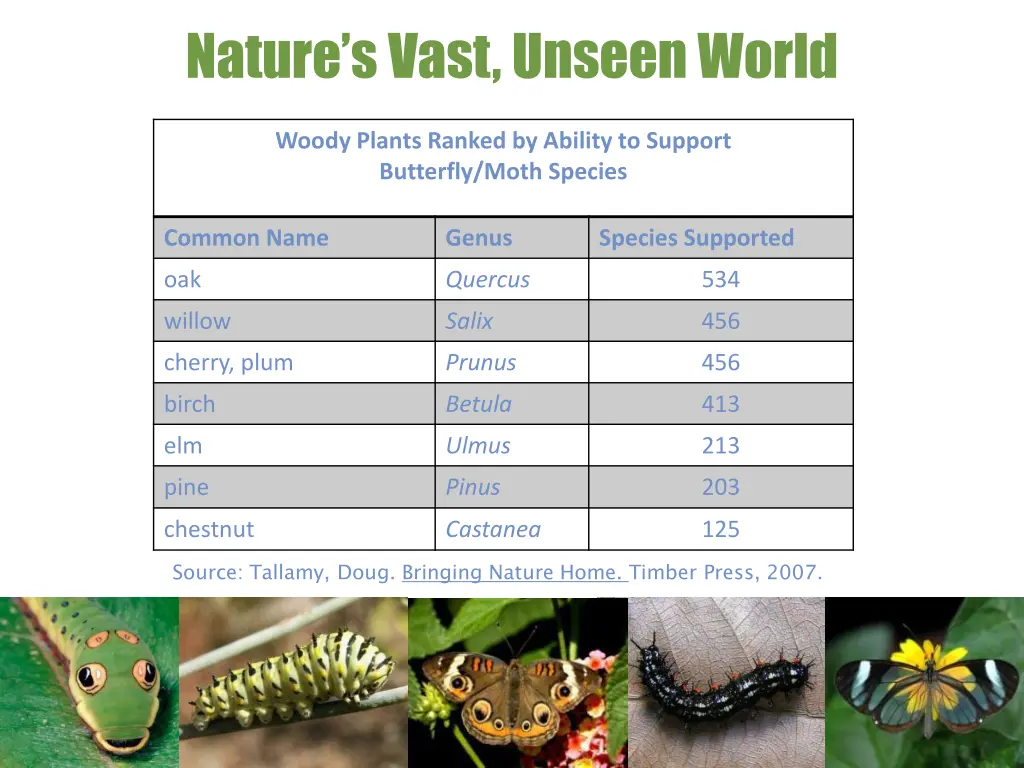 nature s vast unseen world 1