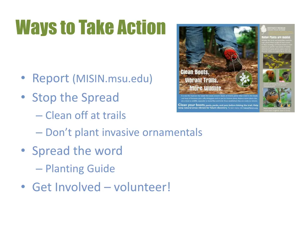 ways to take action