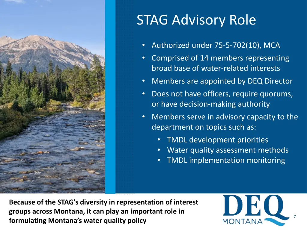 stag advisory role