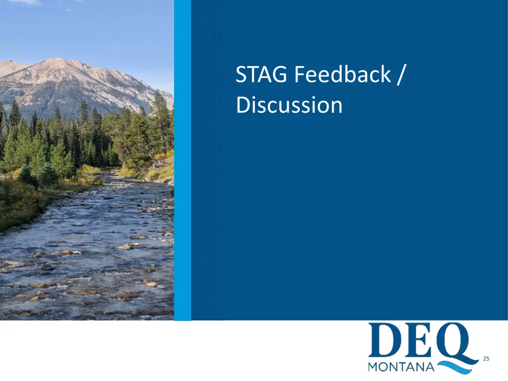stag feedback discussion 1