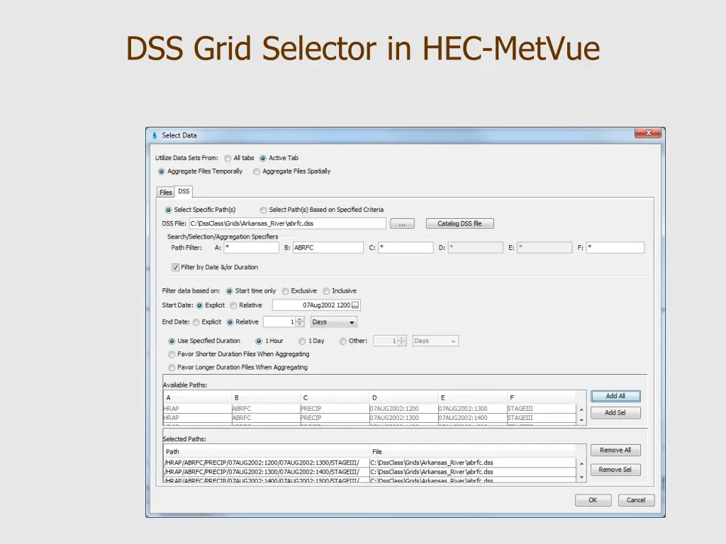 dss grid selector in hec metvue