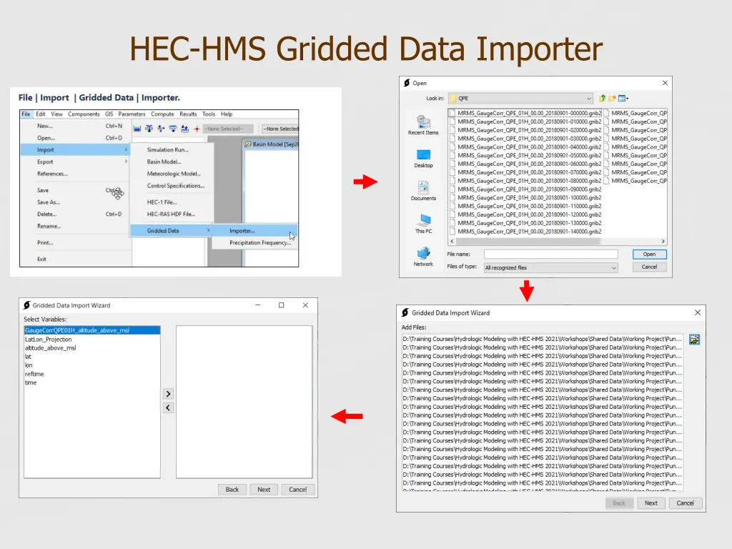 hec hms gridded data importer 1