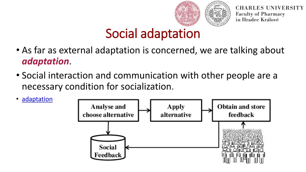 social adaptation social adaptation