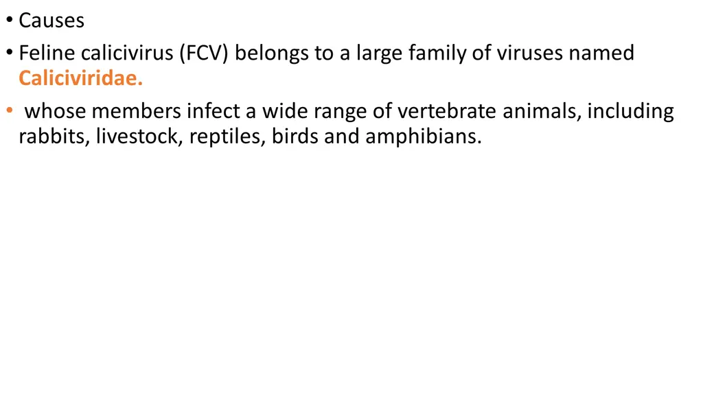 causes feline calicivirus fcv belongs to a large