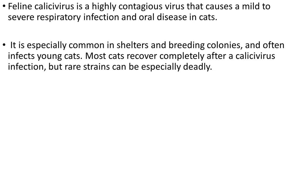 feline calicivirus is a highly contagious virus