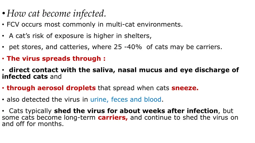 how cat become infected fcv occurs most commonly