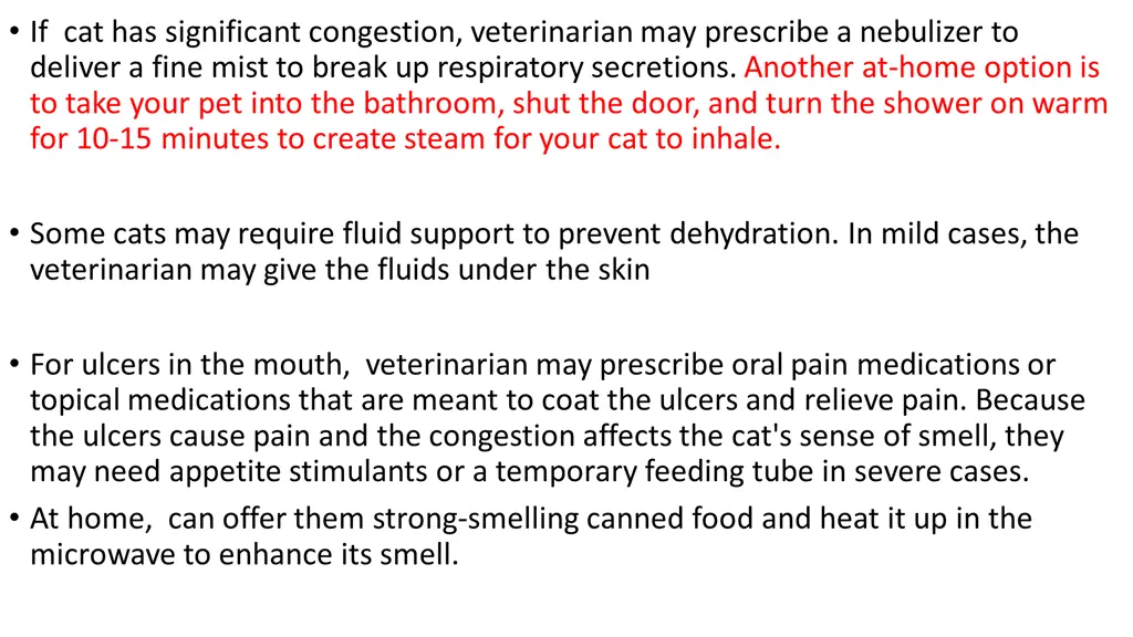 if cat has significant congestion veterinarian