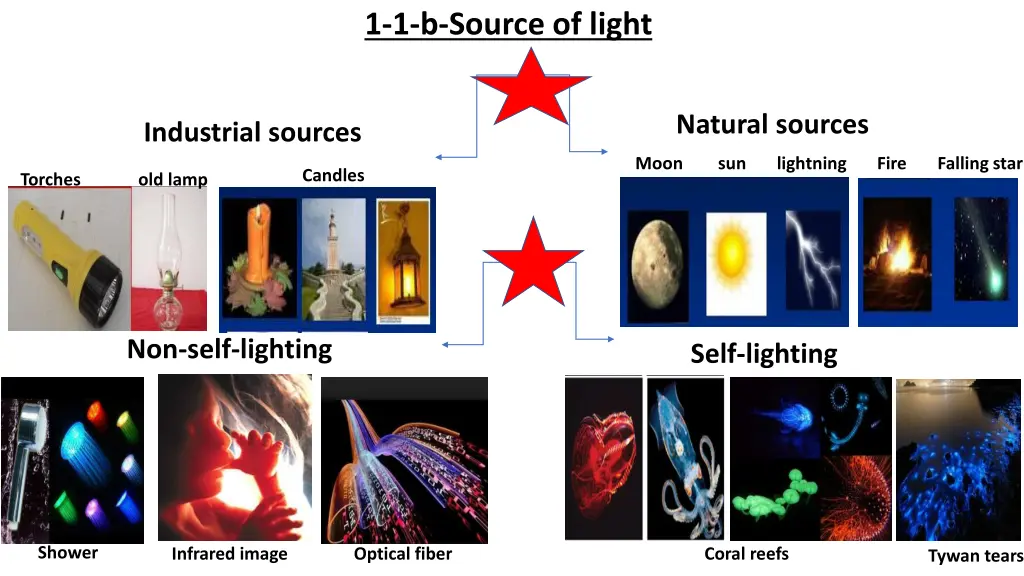 1 1 b source of light