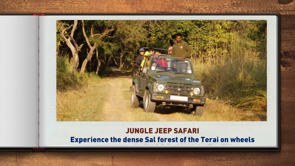 jungle jeep safari