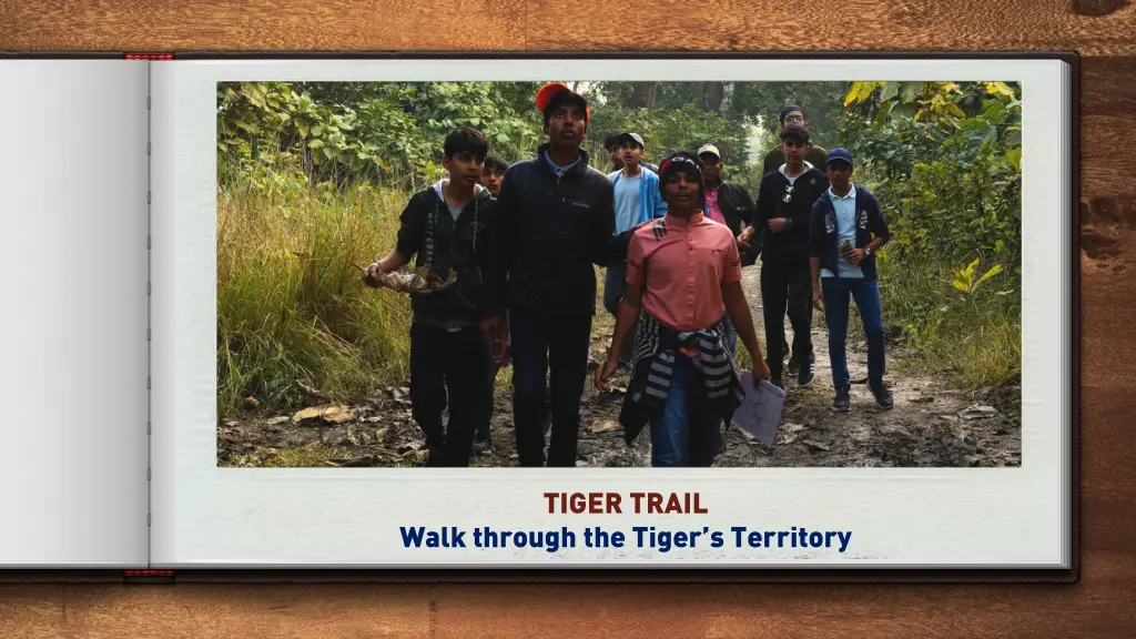 tiger trail