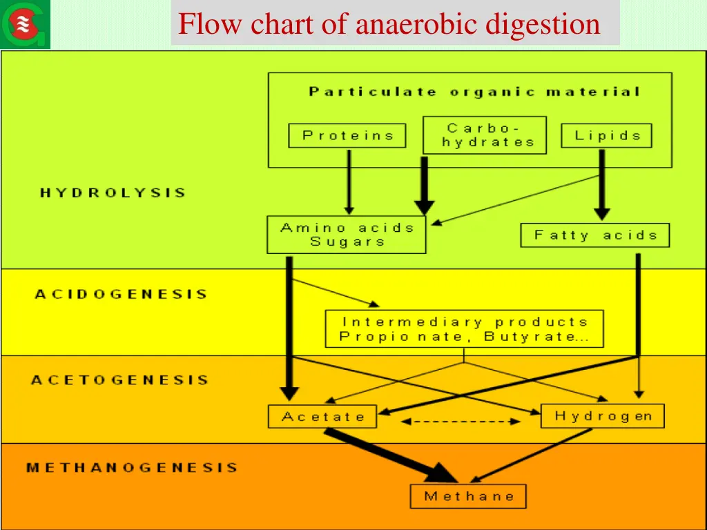 flow chart of anaerobic digestion