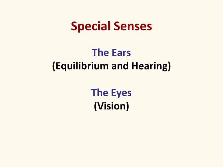 special senses