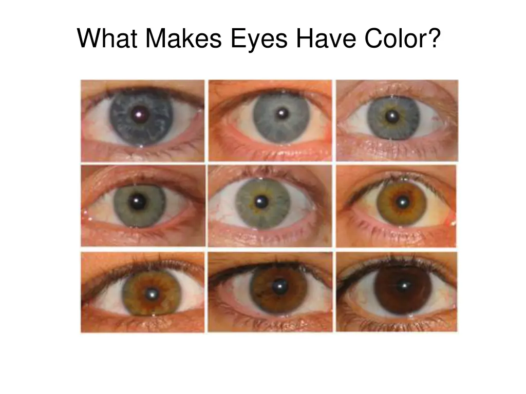 what makes eyes have color