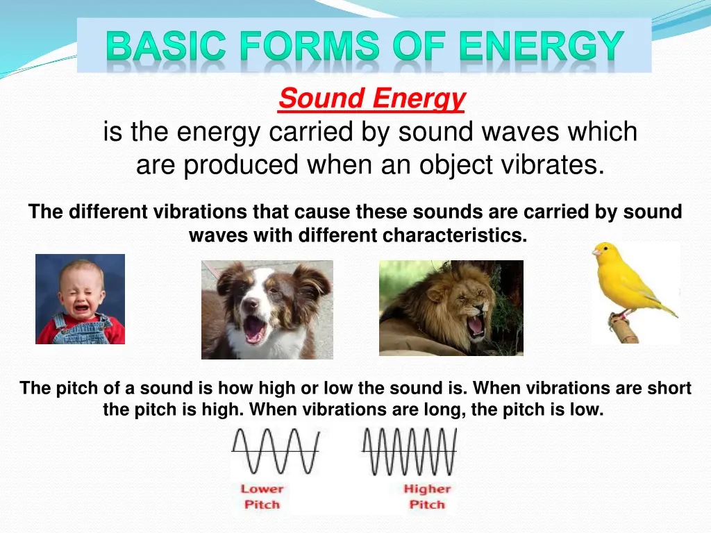 basic forms of energy 5