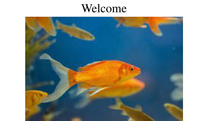 welcome