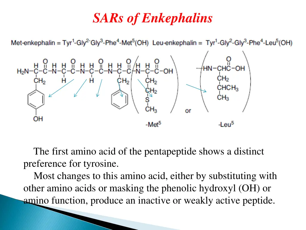 sars of enkephalins