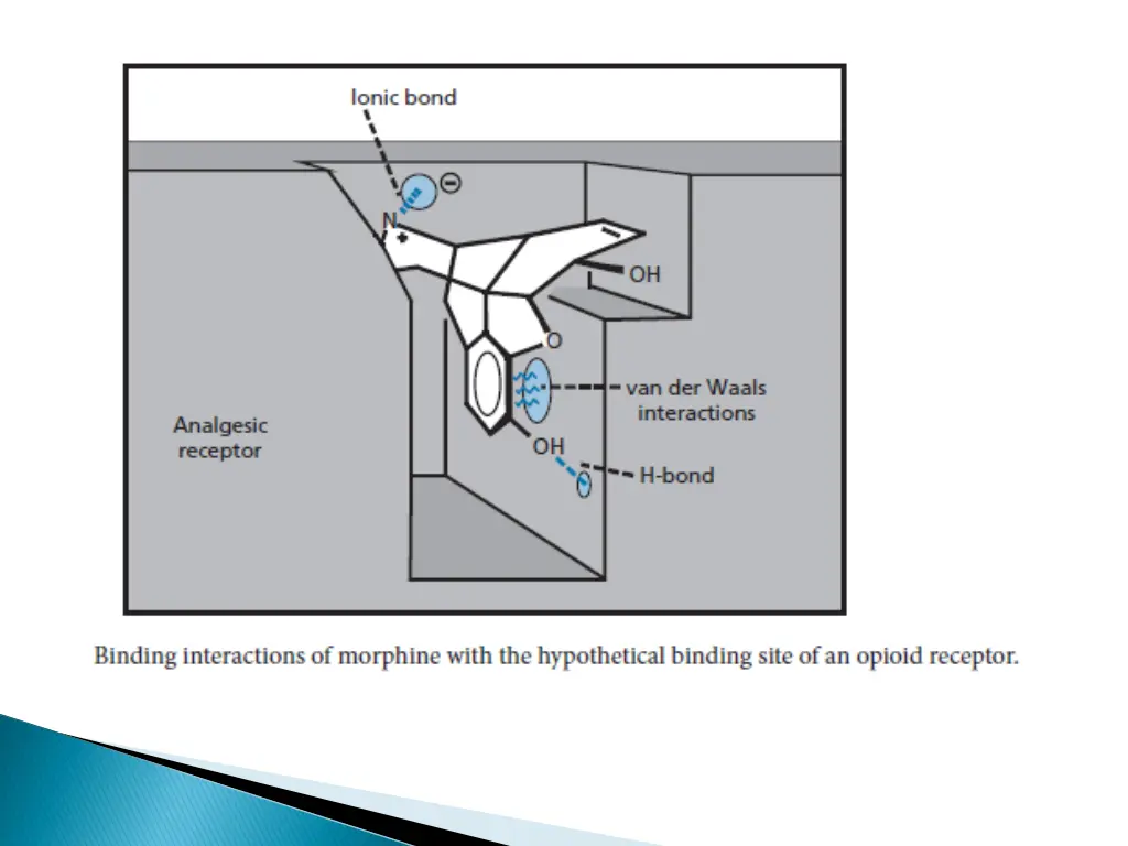 slide19