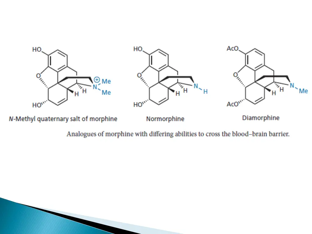 slide24