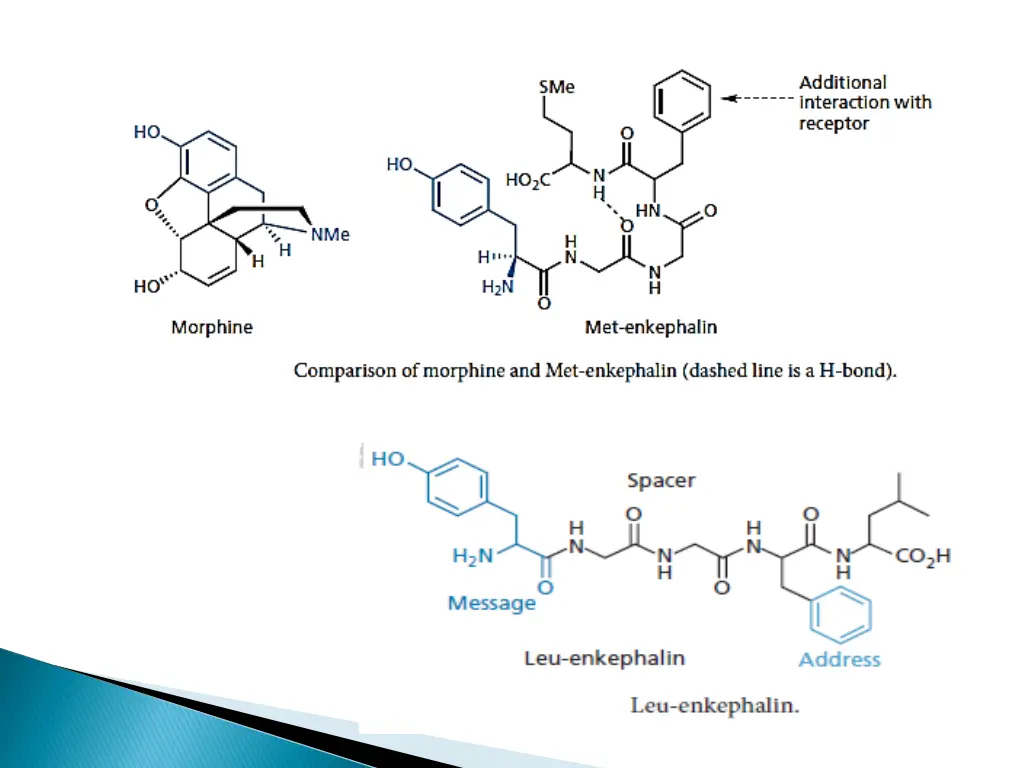 slide7