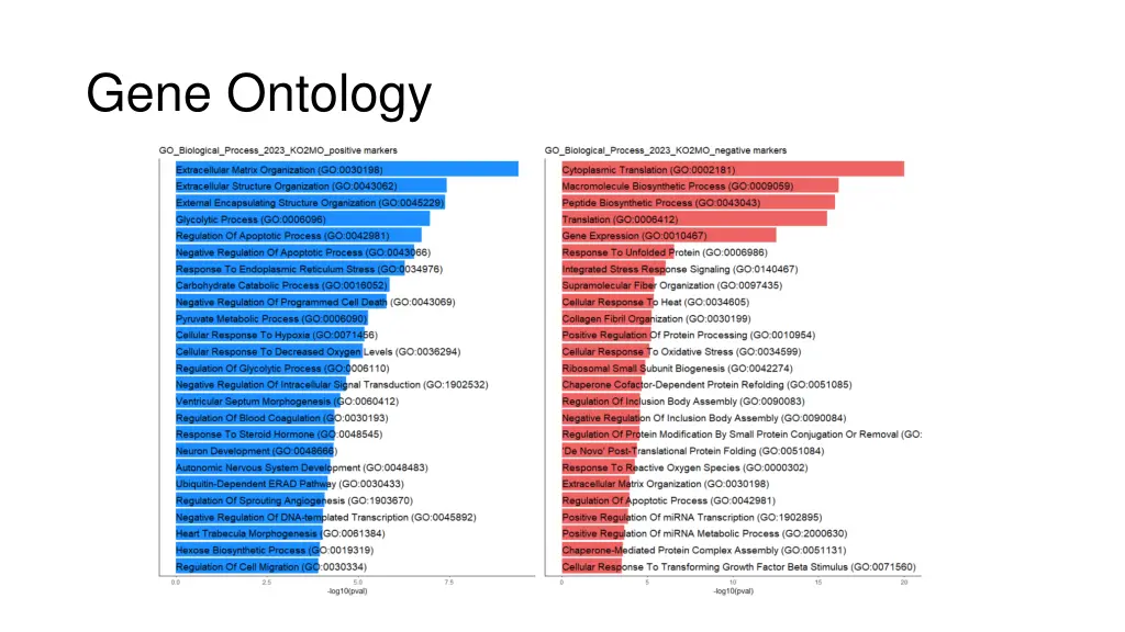 gene ontology 1