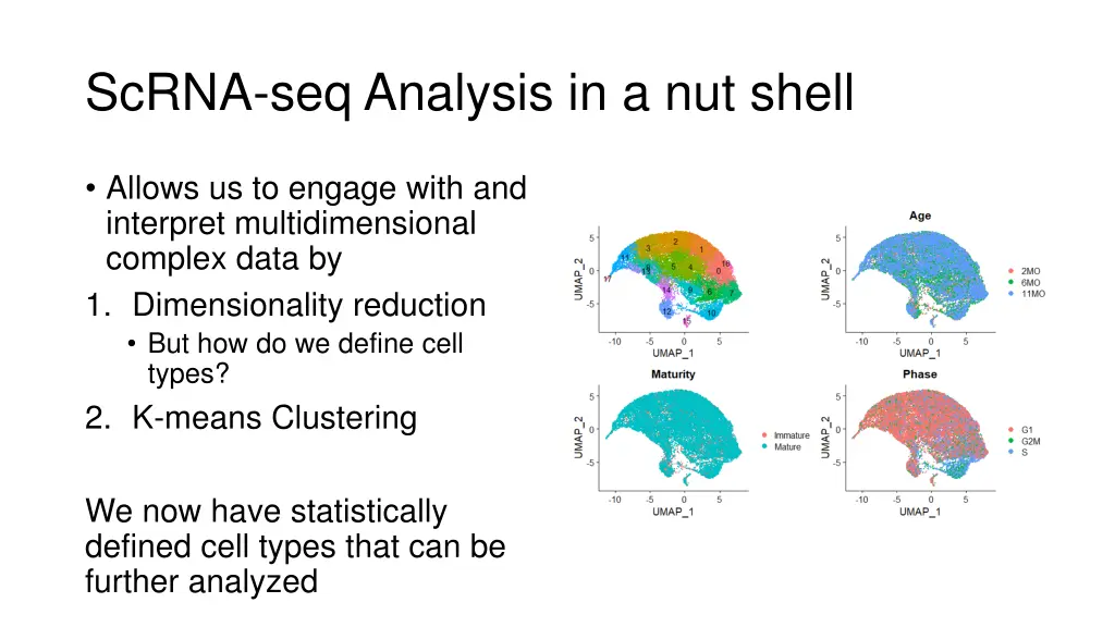 scrna seq analysis in a nut shell 3