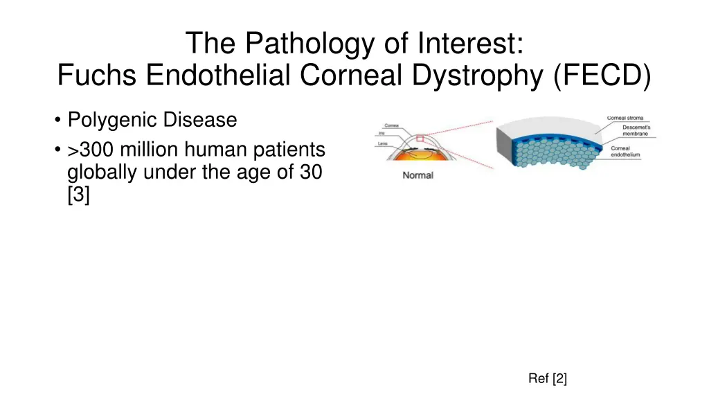 the pathology of interest fuchs endothelial 1