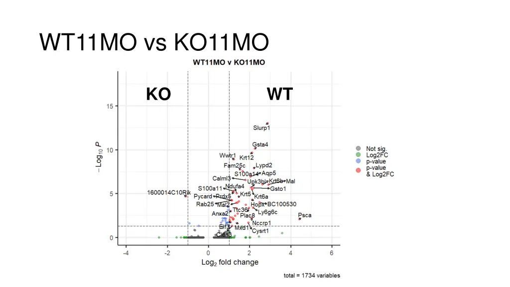 wt11mo vs ko11mo