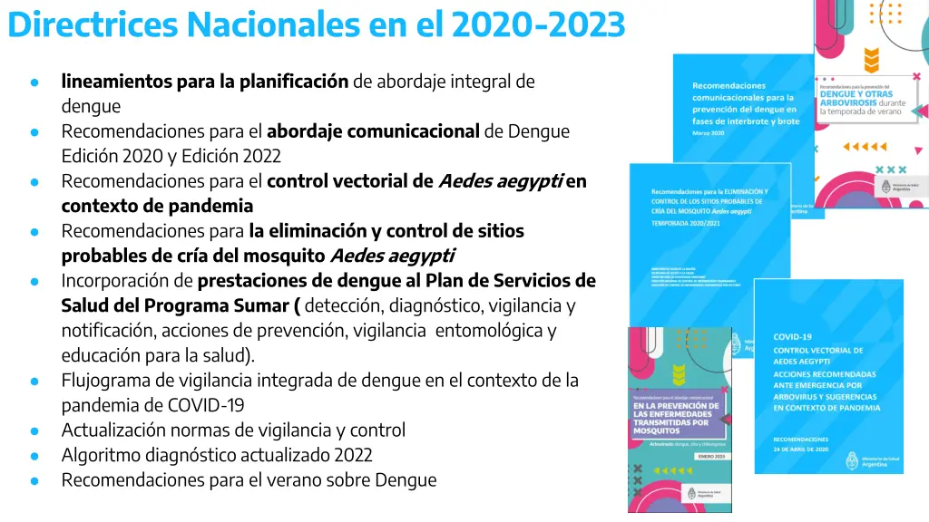 directrices nacionales en el 2020 2023