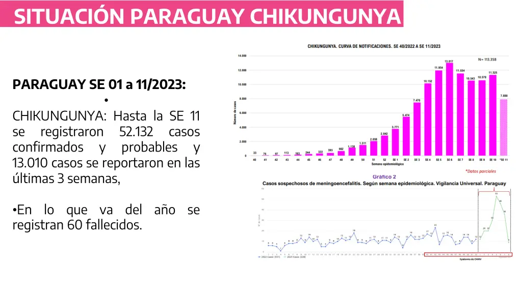 situaci n paraguay chikungunya
