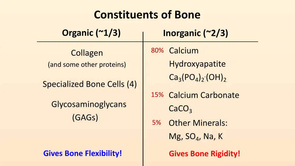 constituents of bone