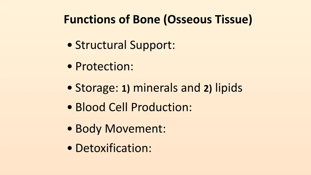functions of bone osseous tissue