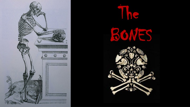 the the bones bones