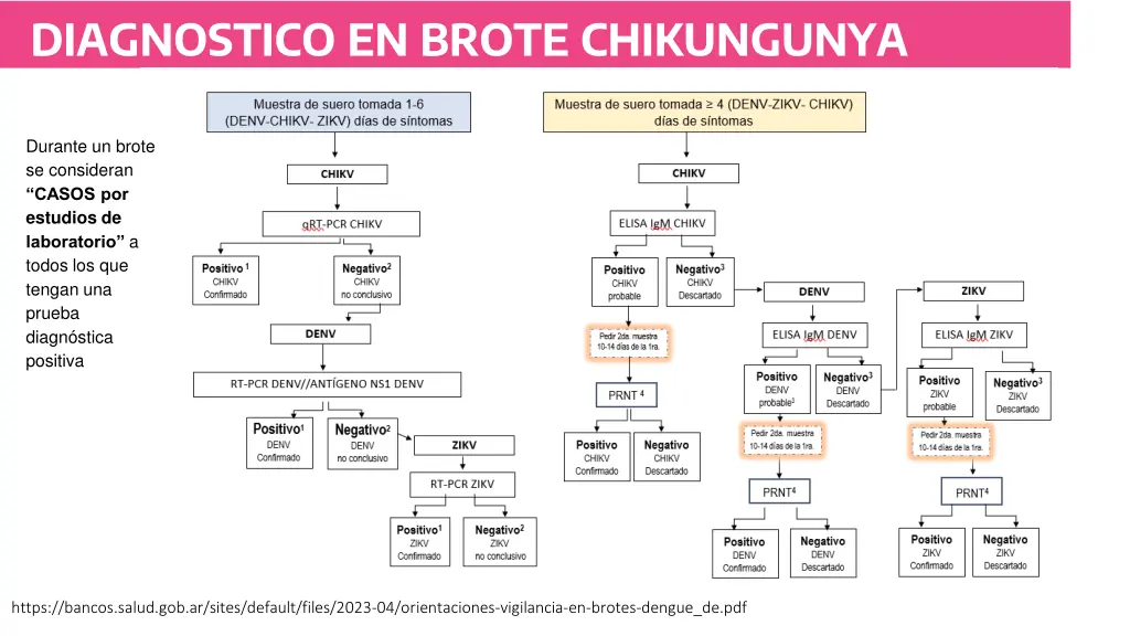 diagnostico en brote chikungunya