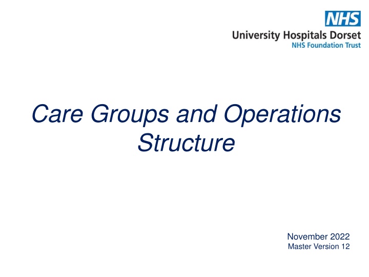 care groups and operations structure