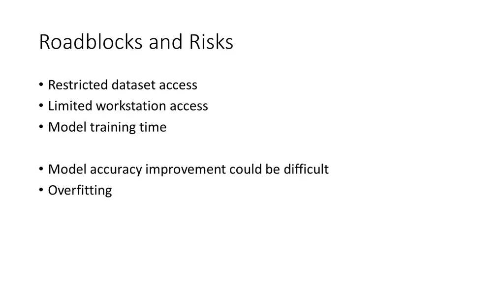 roadblocks and risks