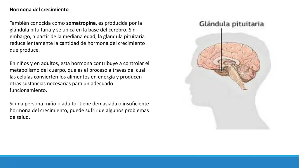 hormona del crecimiento