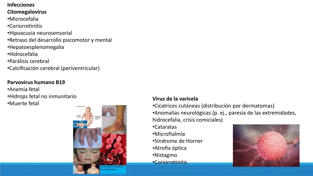 infecciones citomegalovirus microcefalia