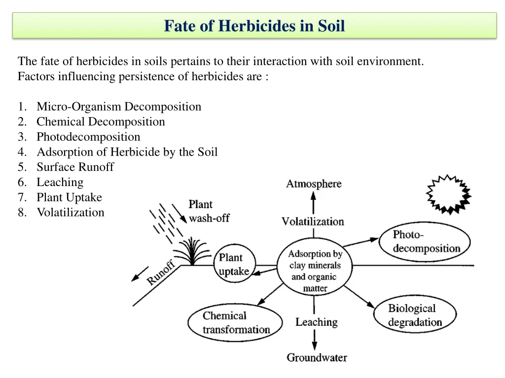 fate of herbicides in soil