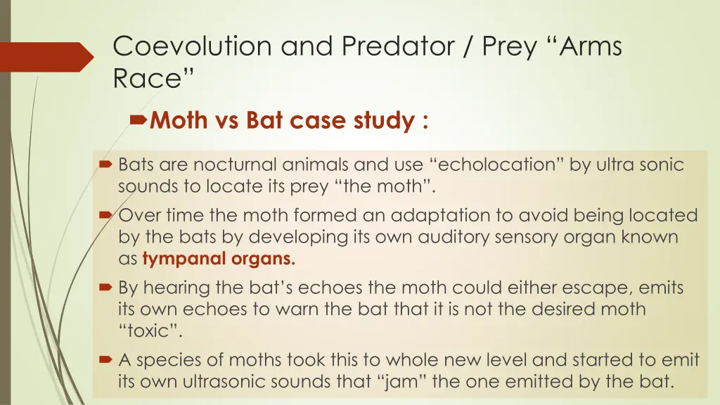 coevolution and predator prey arms race moth