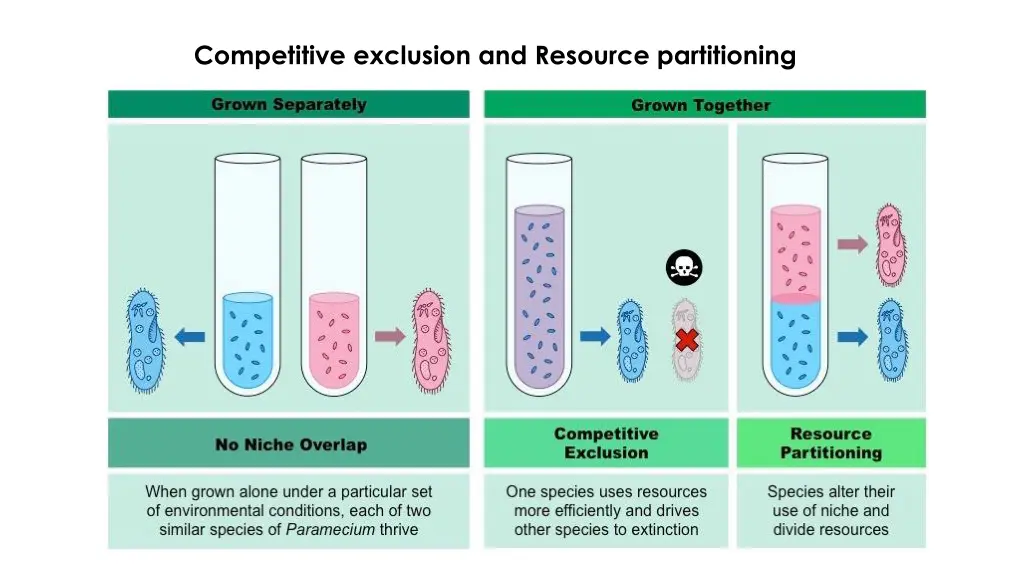 competitive exclusion and resource partitioning