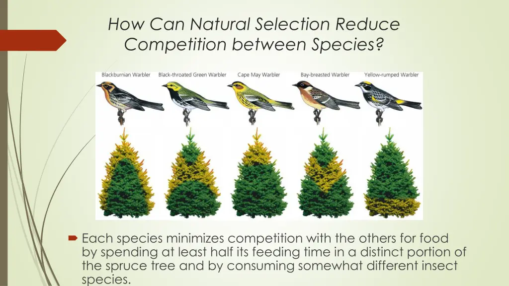 how can natural selection reduce competition 1