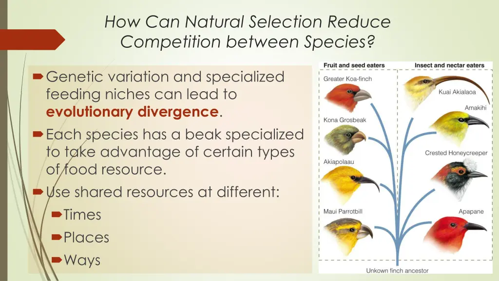 how can natural selection reduce competition 2