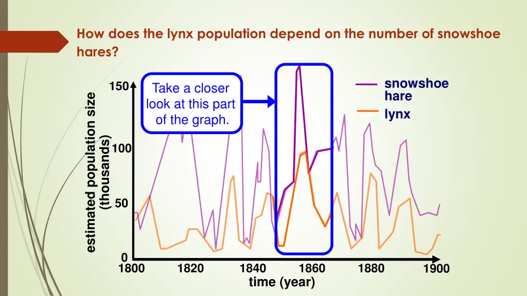 how does the lynx population depend on the number