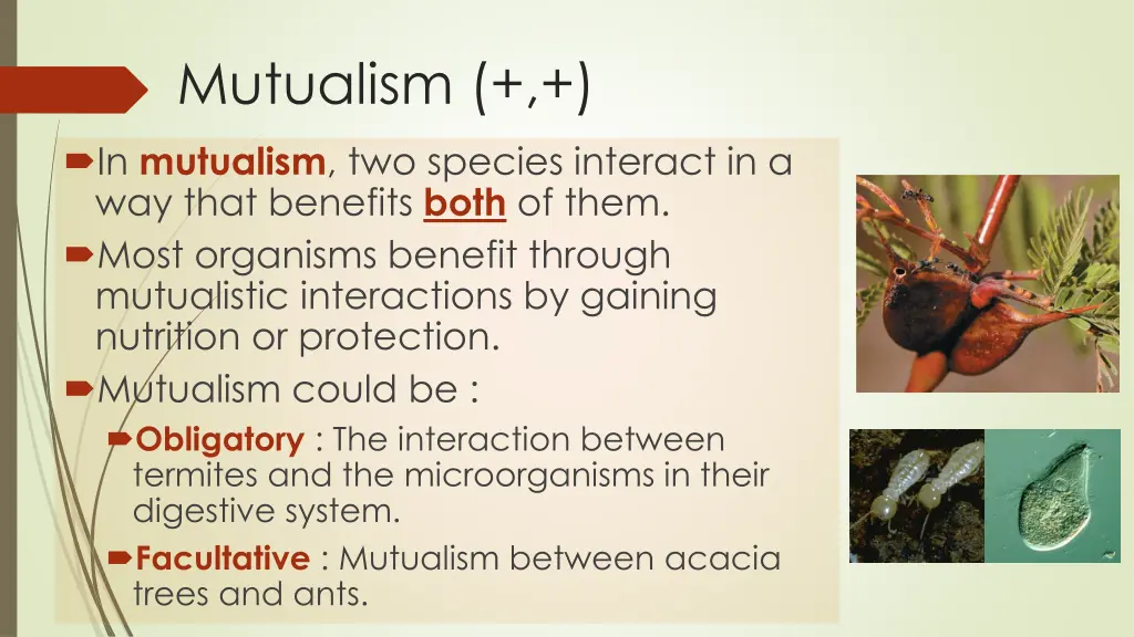 mutualism