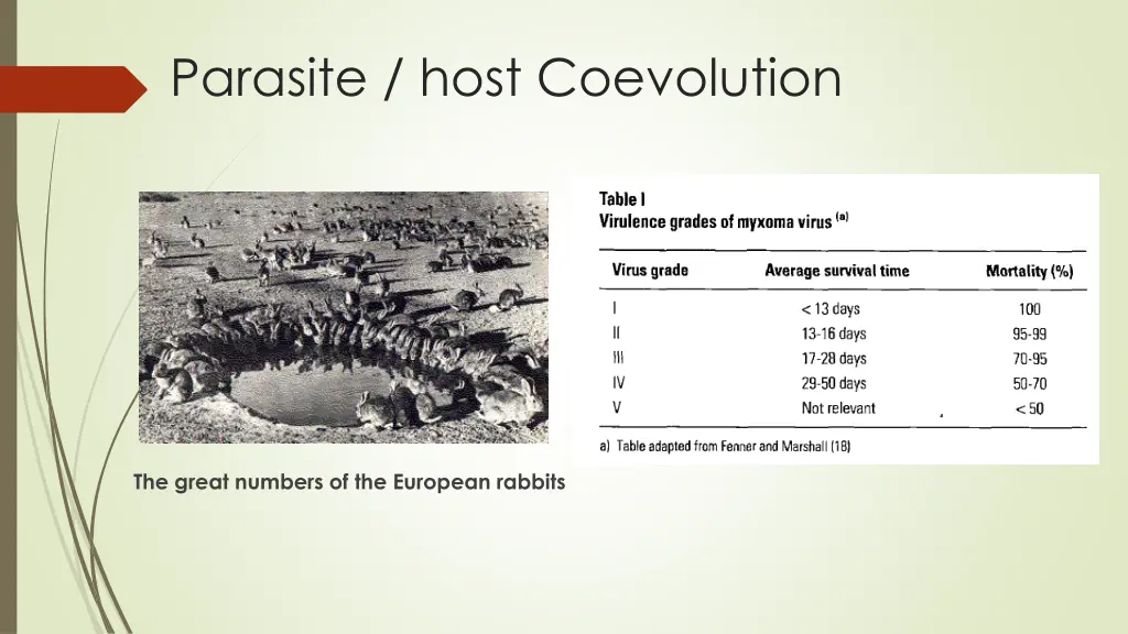 parasite host coevolution 1