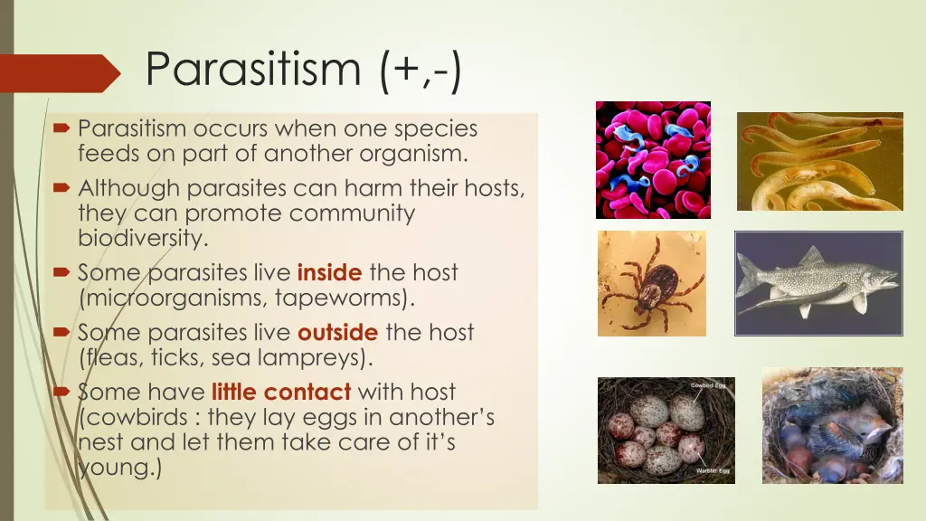 parasitism