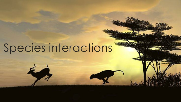 species interactions