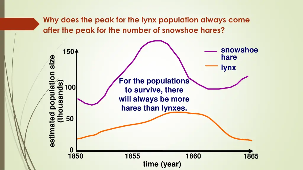 why does the peak for the lynx population always