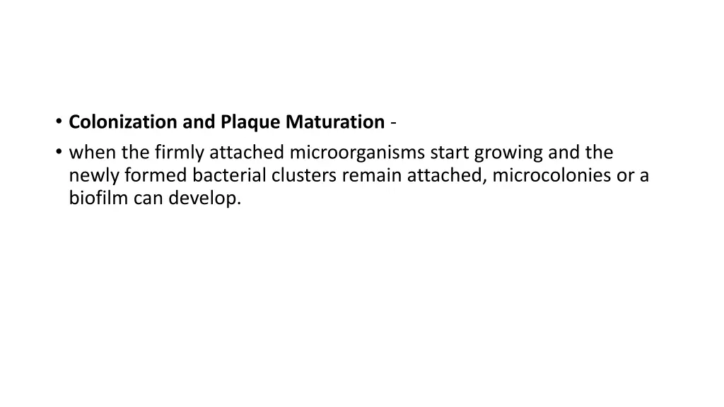 colonization and plaque maturation when